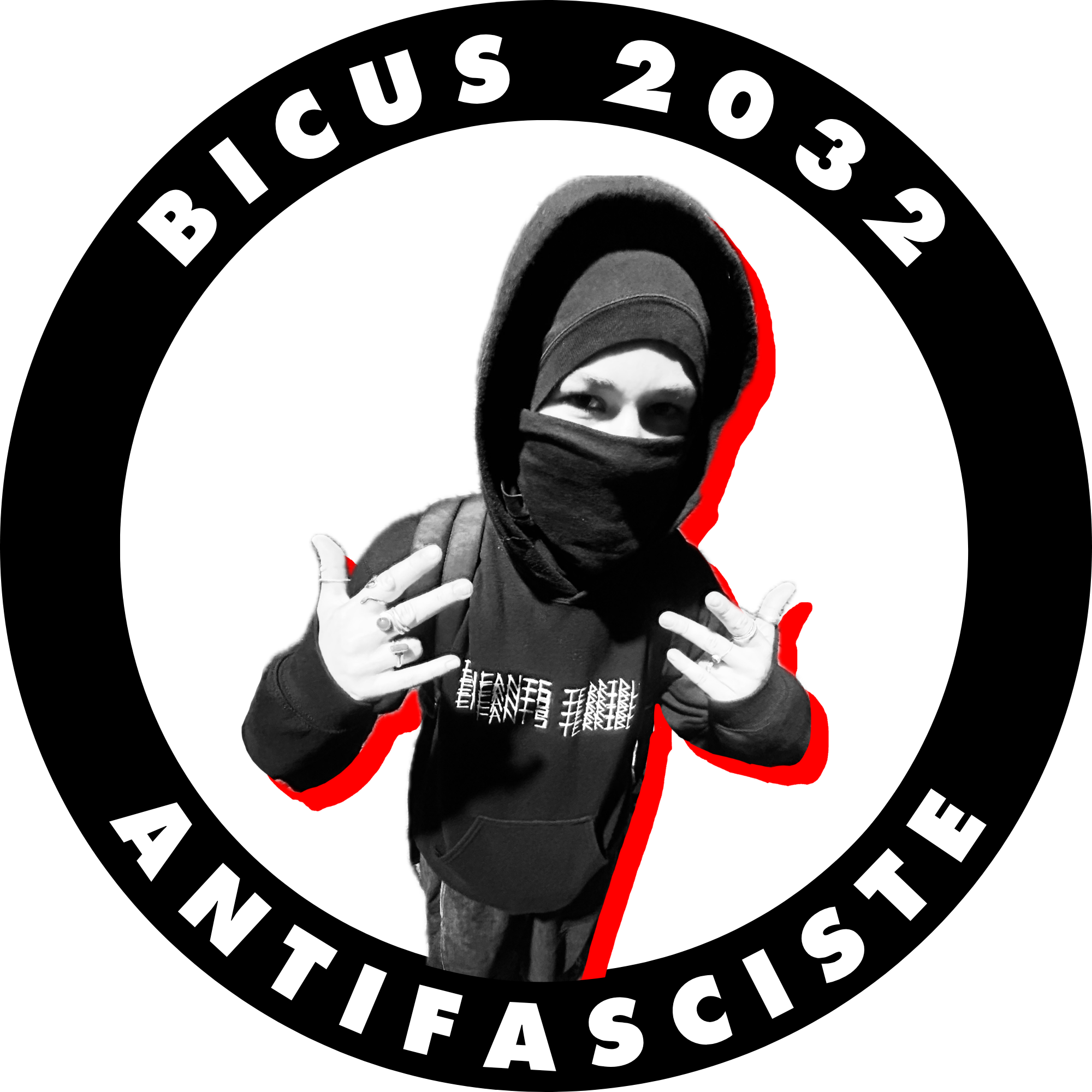 Antifa manif